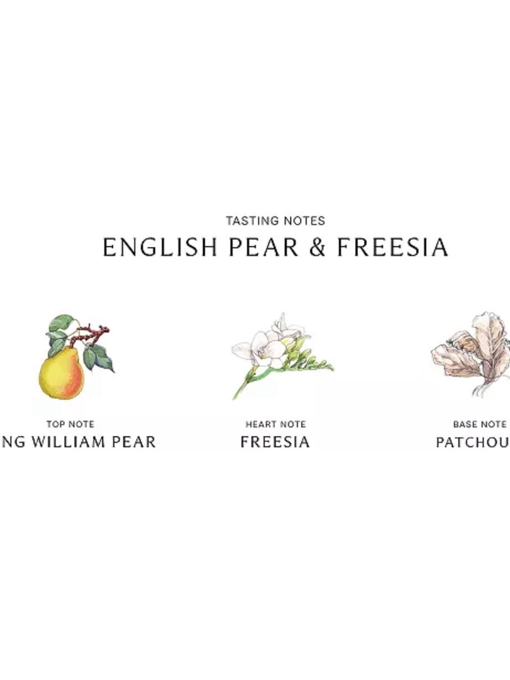 English Pear & Freesia Scent Surround Diffuser, 5.6-oz. - Picture 4 of 4